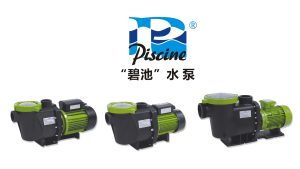 碧池Piscine泳池水泵