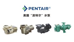 滨特尔pentair泳池水泵